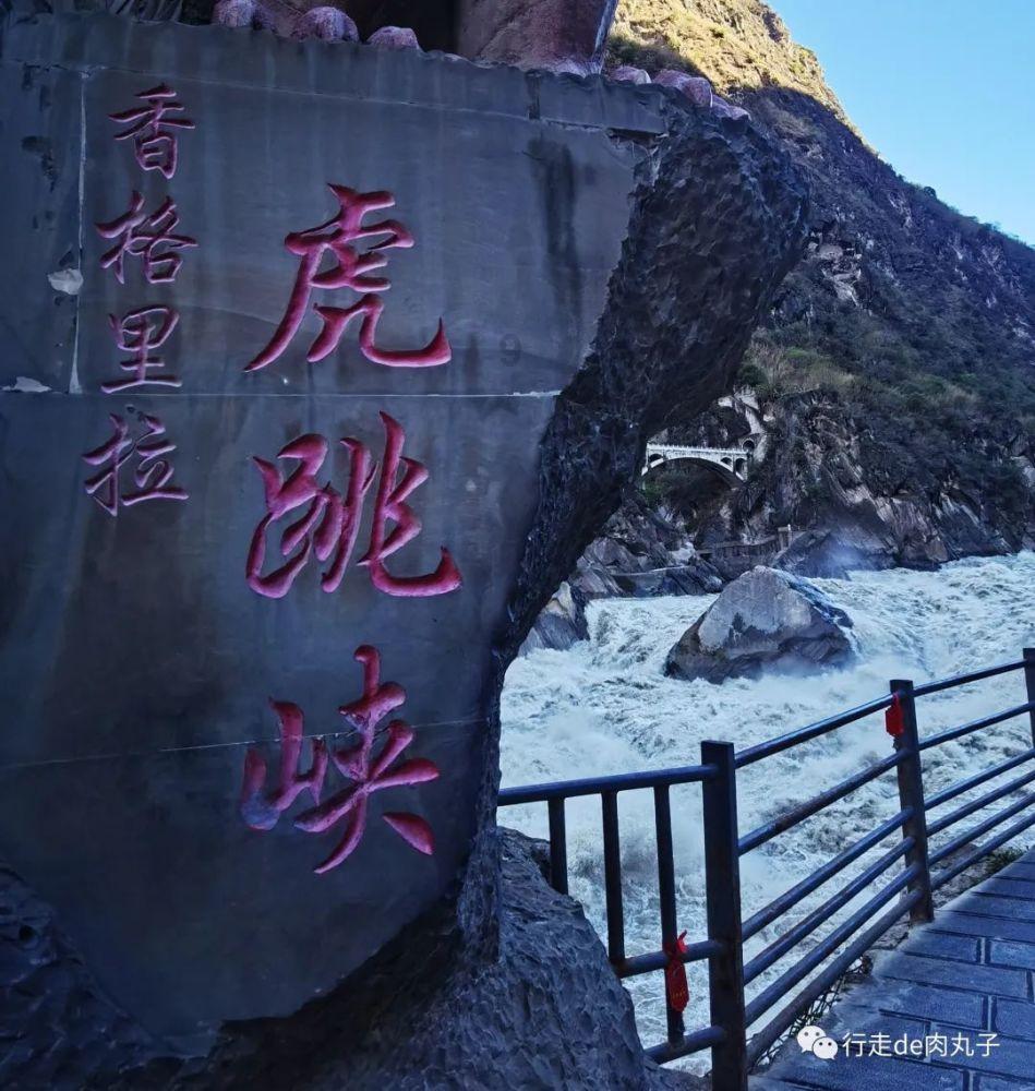 救援瓢虫宝宝