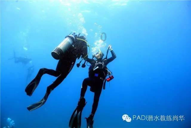中专毕业想要一个大专学历？怎么考？游戏画面