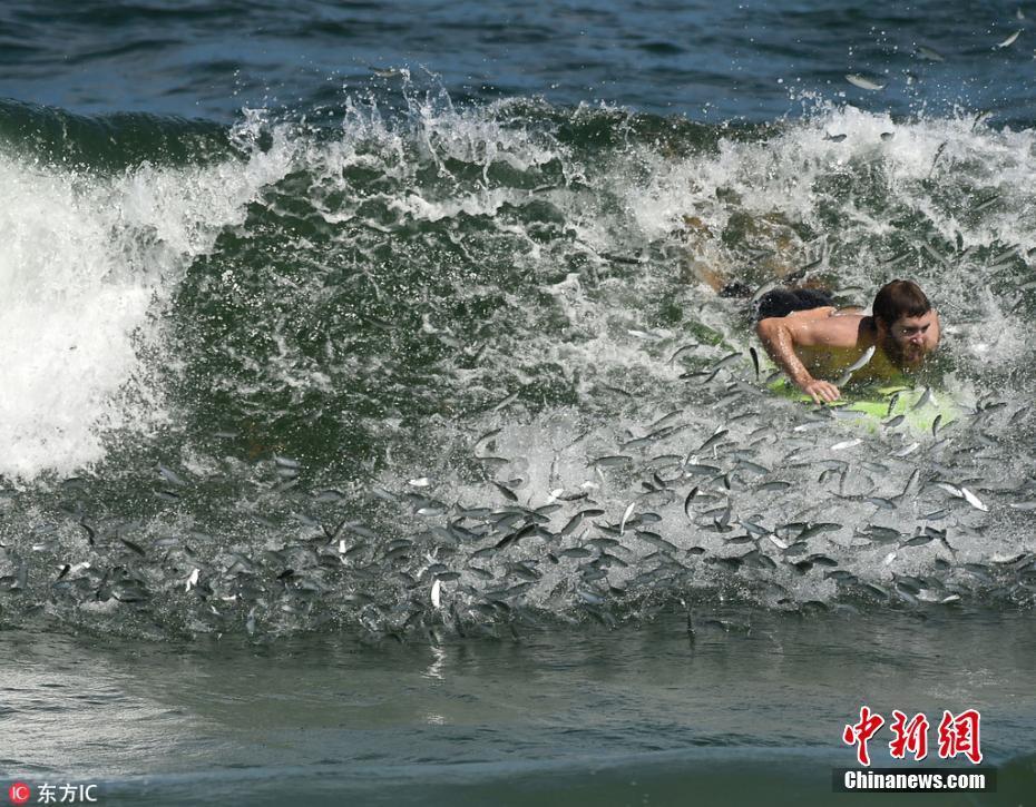 毒舌大师钱钟书,急了连导师一起骂,杨绛:就喜欢他的淘气和痴气